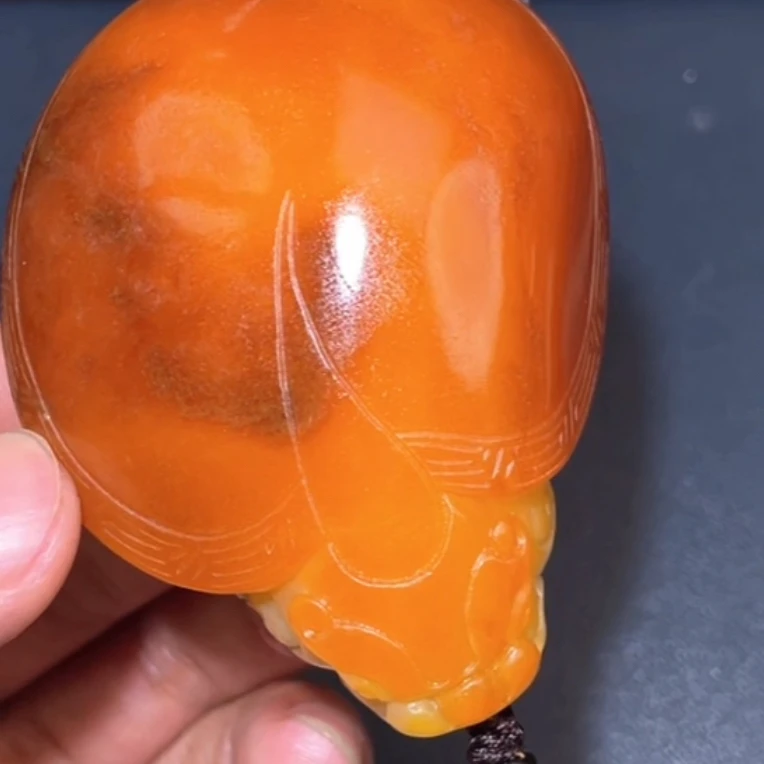 龙龟8.29J多样性拍一发一