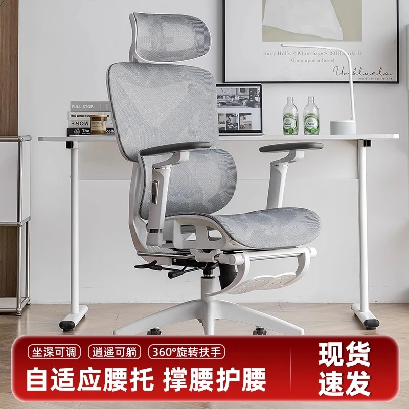 树懒兄弟人体工学椅撑腰椅电脑椅办公椅久坐可躺电竞椅升降椅子