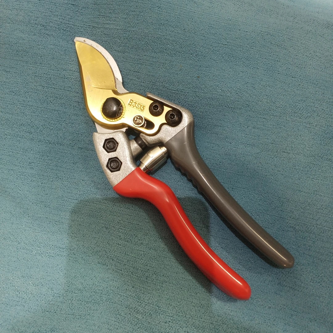 园林修枝剪刀果树剪强力修剪树枝园艺剪刀家用省力花艺剪枝果剪