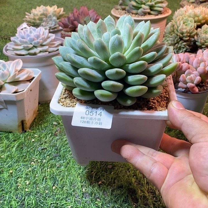 0514啊啊啊啊啊啊啊啊啊啊啊