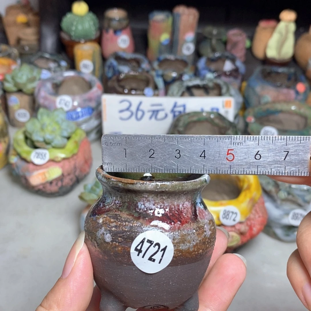 拍5送一个小礼物