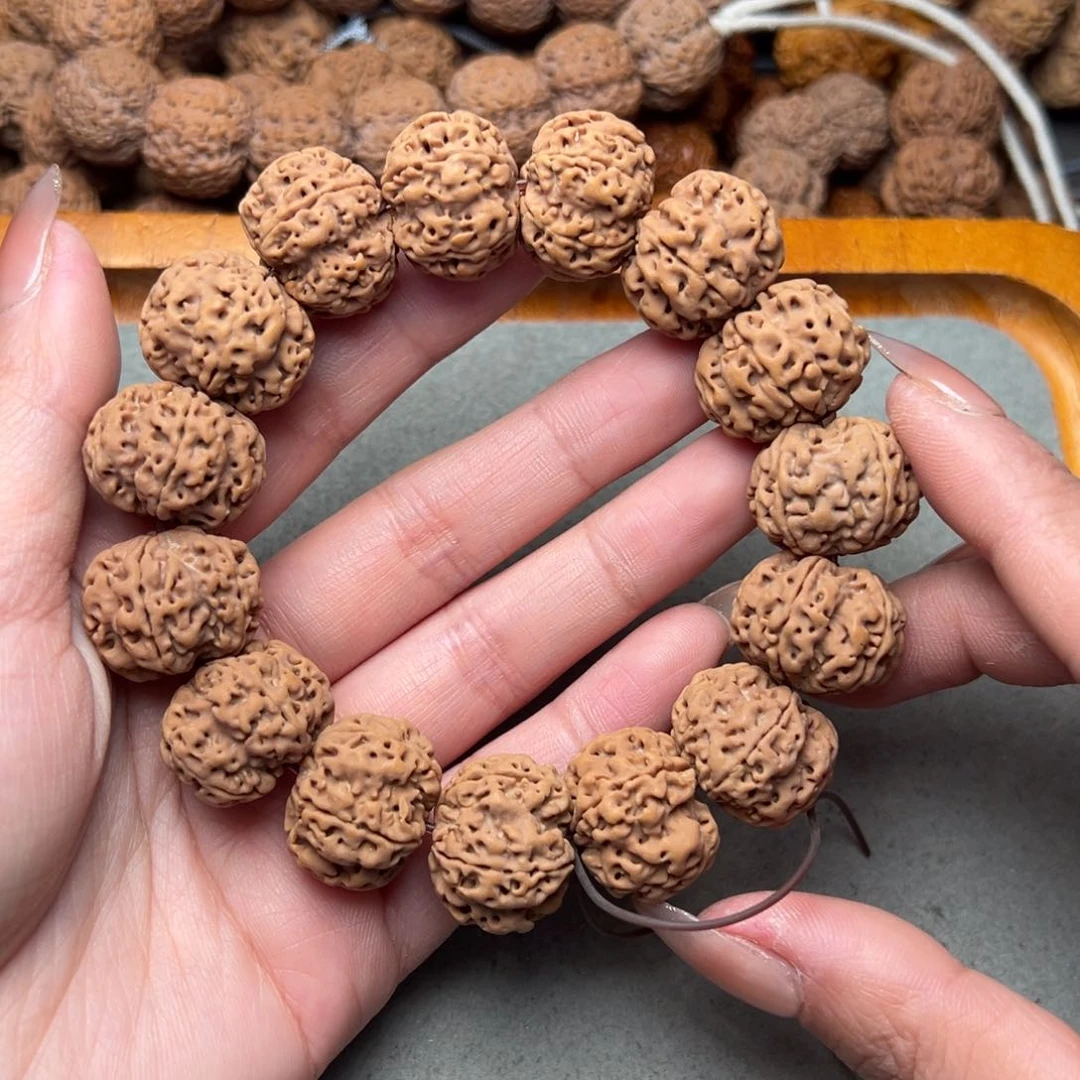 菩提22号金刚菩提粗筋梅花原生态22