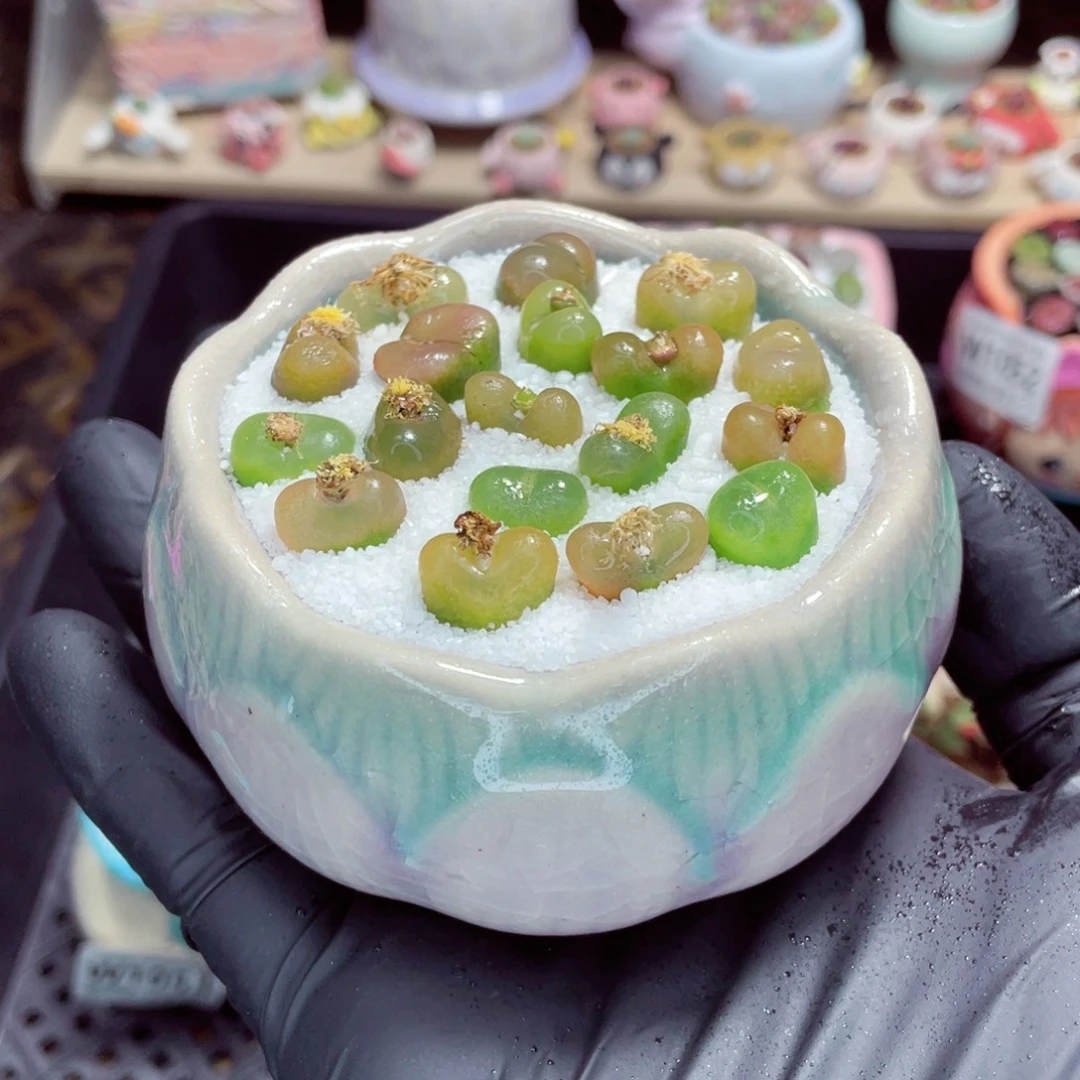 夜间零下地区拍保温箱w1054