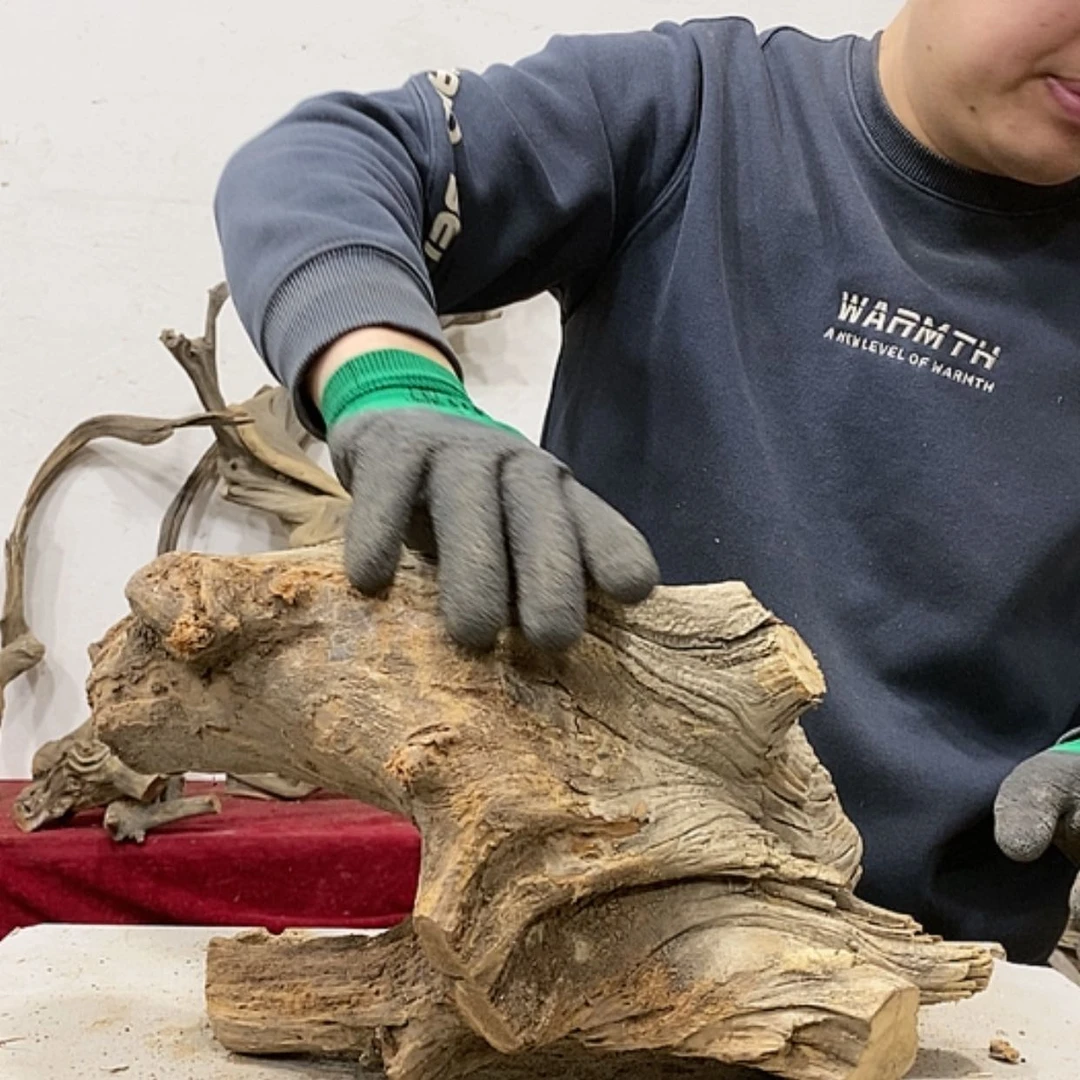 【闪购商品】柏木楚*离我们都是好孩子