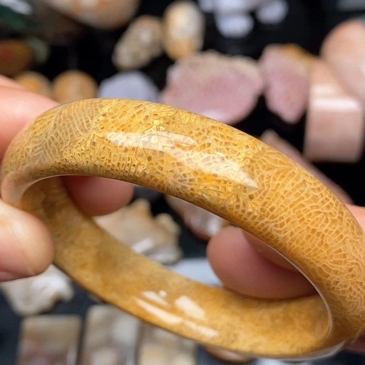 硅化珊瑚（珊瑚玉）手镯未镶嵌57 