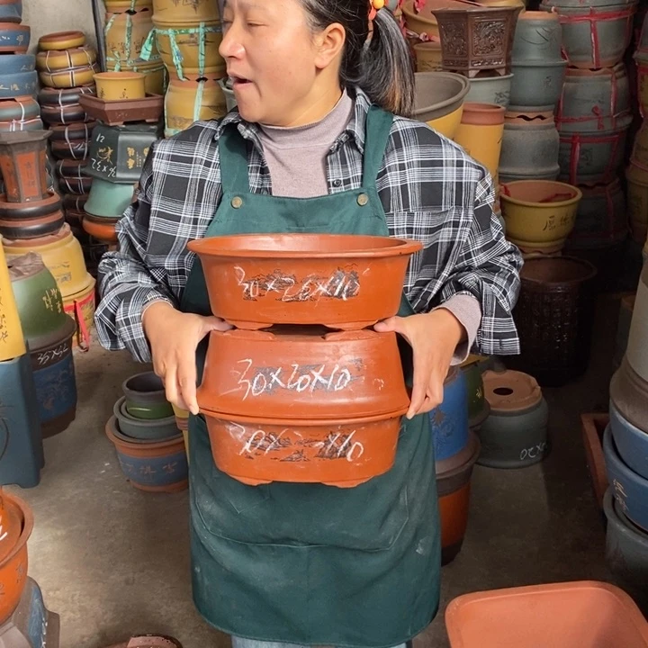 紫砂花盆紫砂艺术