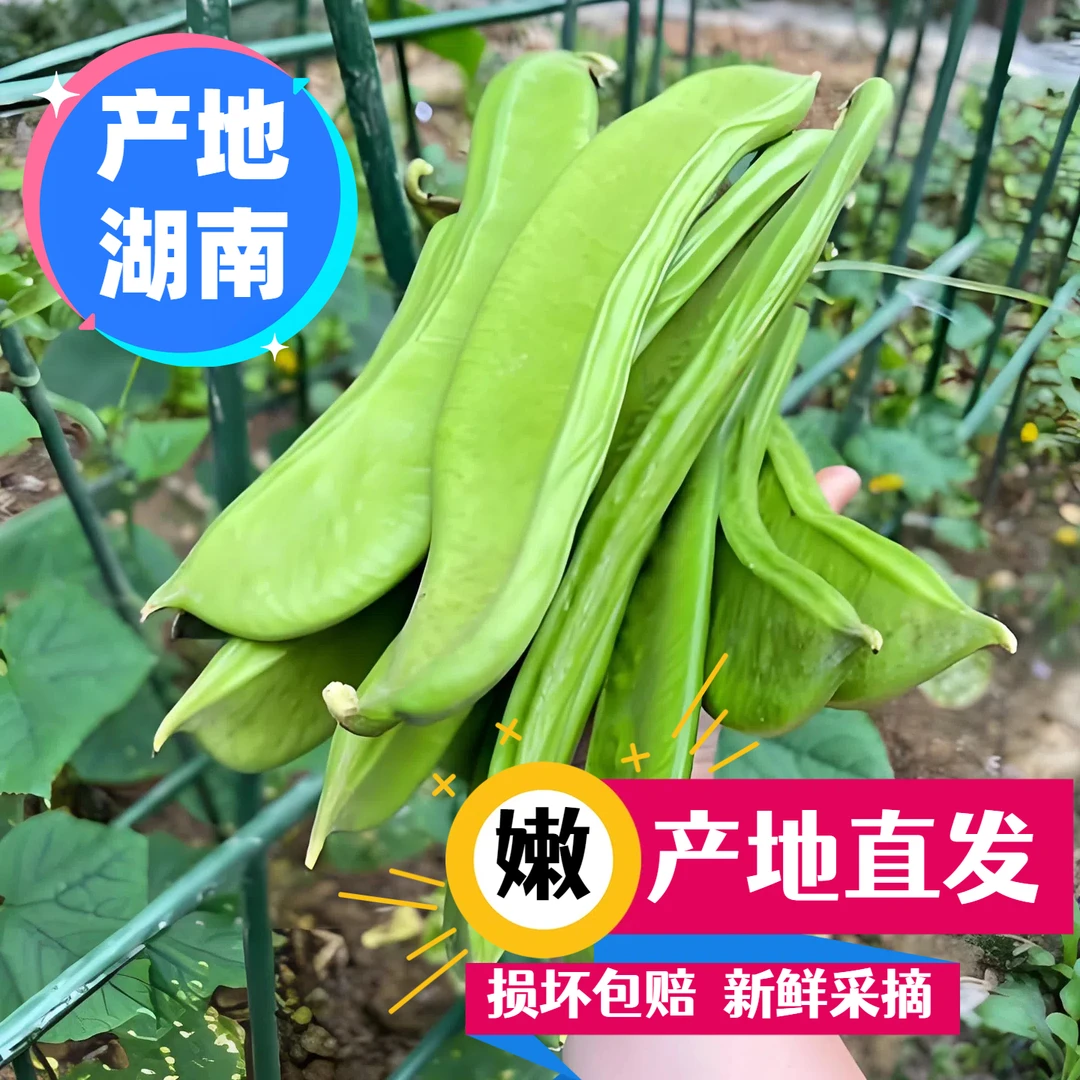 湖南新鲜刀豆现摘现发新鲜采摘产地直发农家刀豆质地脆嫩肉厚味鲜