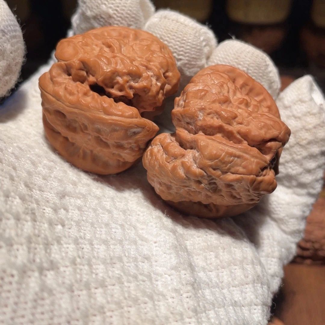 核桃43癞蛤蟆mmmmm