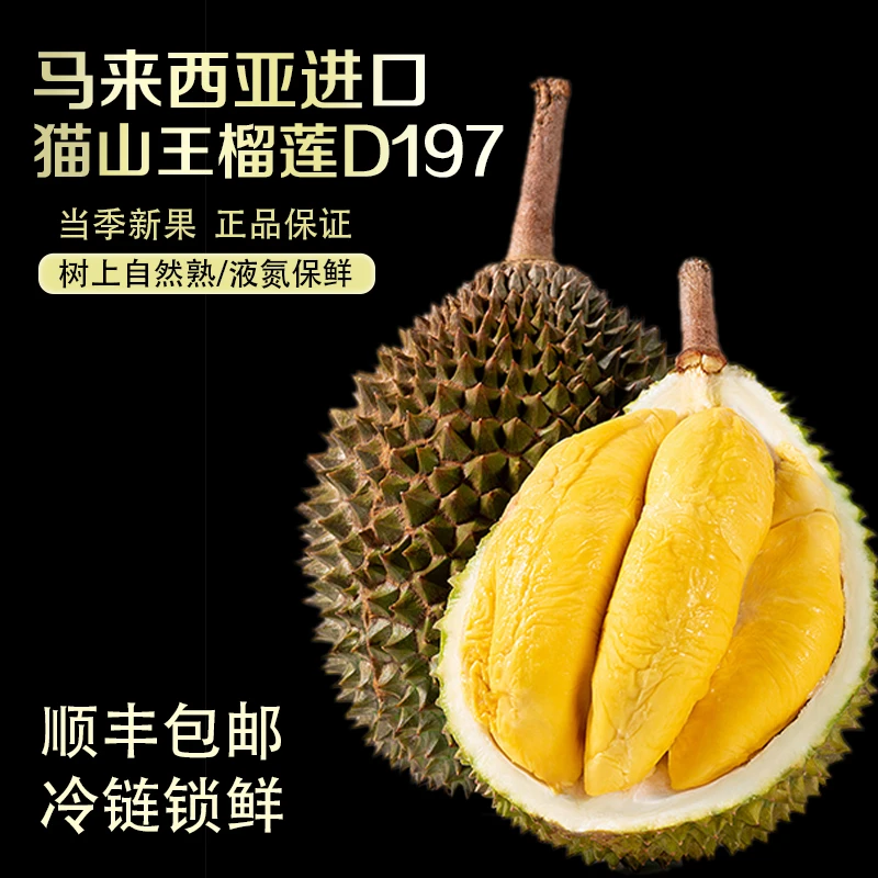 【景云专属】圆五房 D197马来西亚进口猫山王榴莲整果3.5-5斤