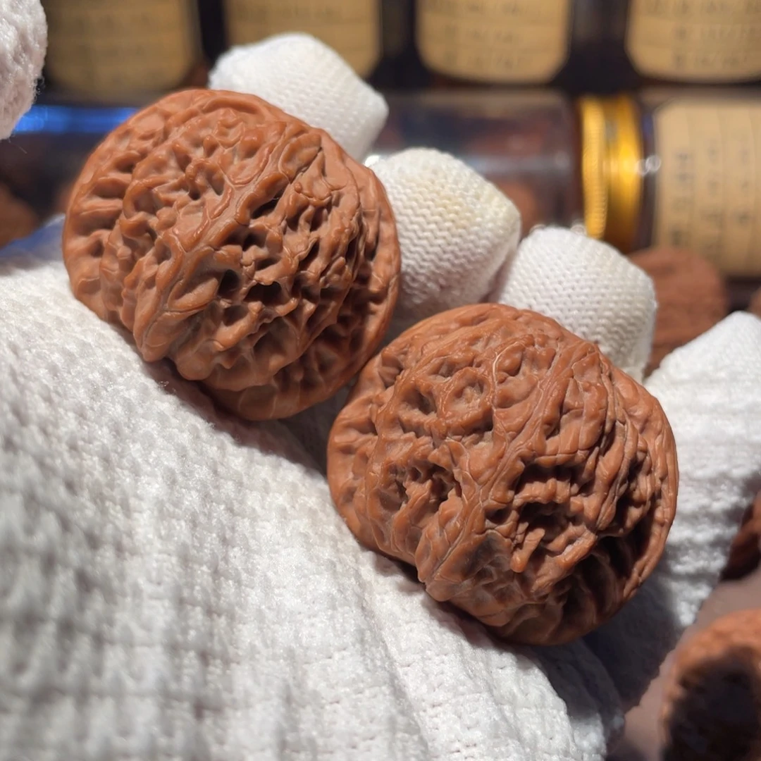 核桃41山地正磨mmmm