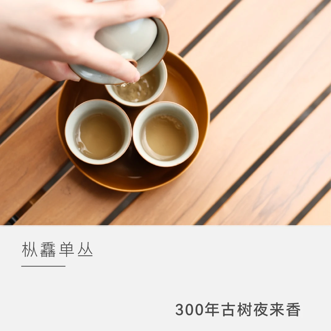 【300年古树夜来香】7克单泡装 潮州凤凰单丛 茶叶乌龙茶 云人访