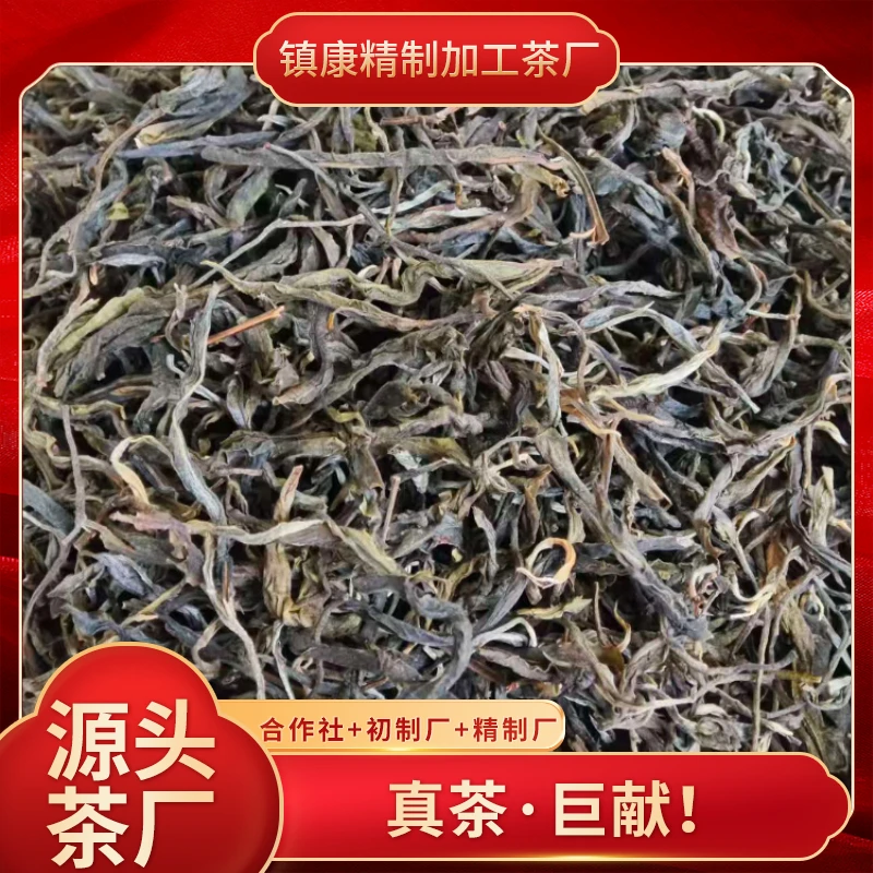 【坡脚老寨】2025年正春/云南普洱生茶