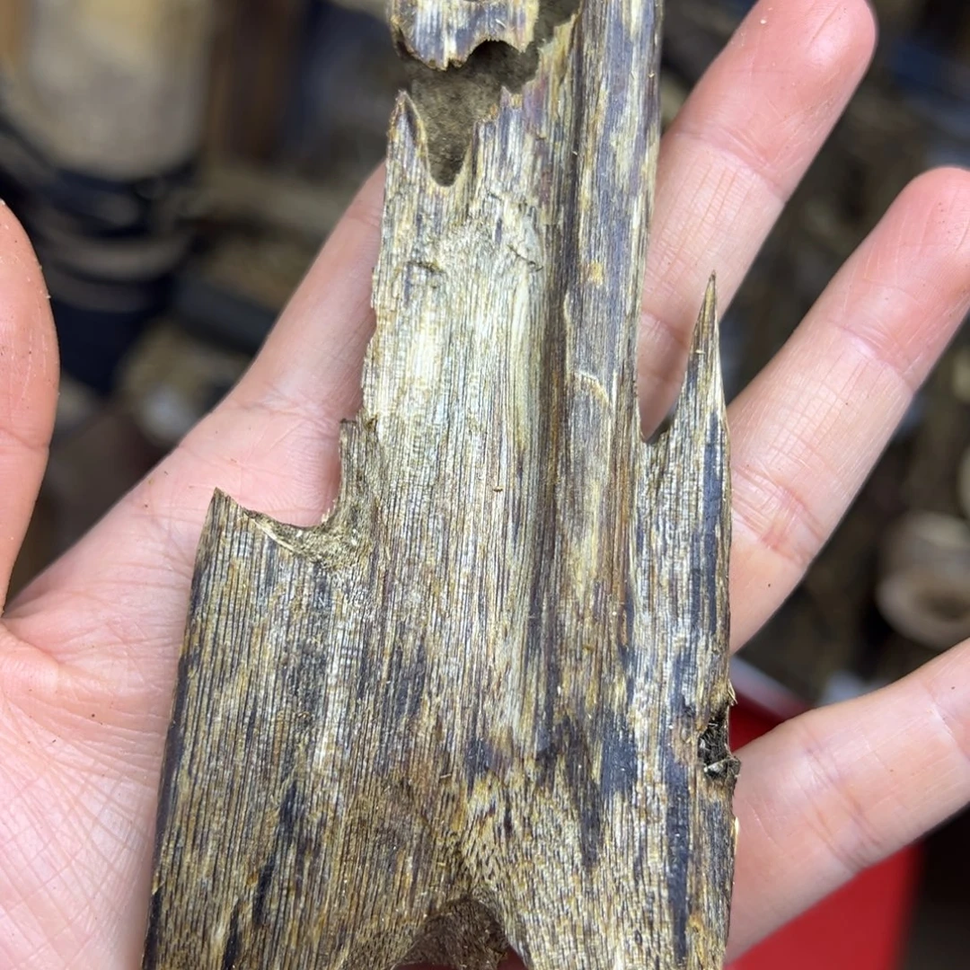 线香奇楠虫漏香23克