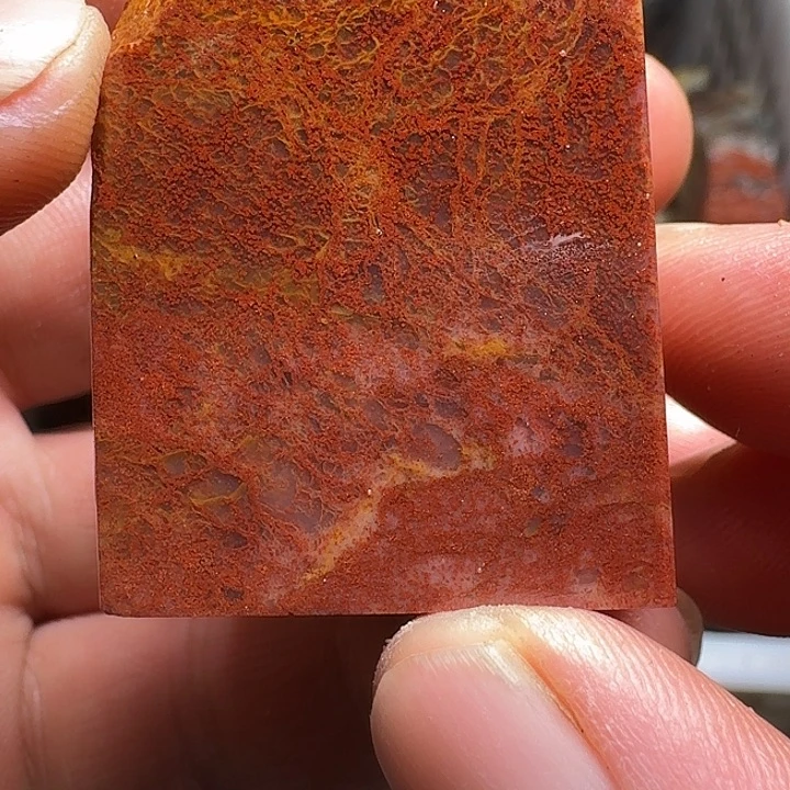 寿山石寿山石的种类