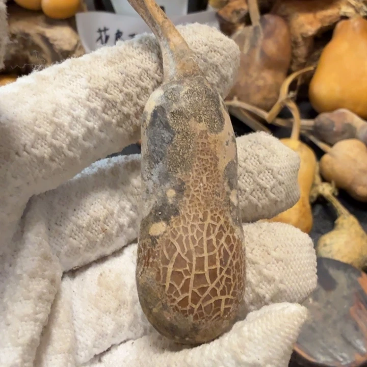 普***r67666666777777788878