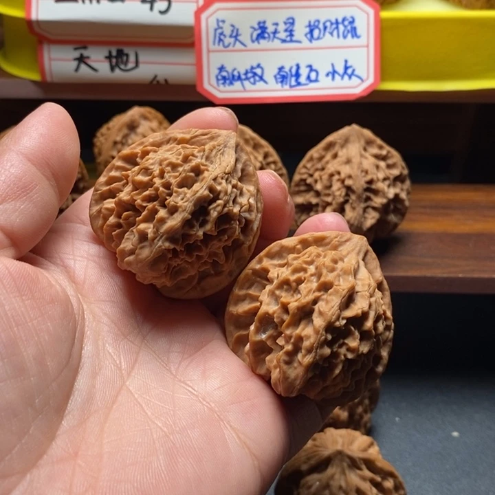 大***生蓟县皇冠4311111111