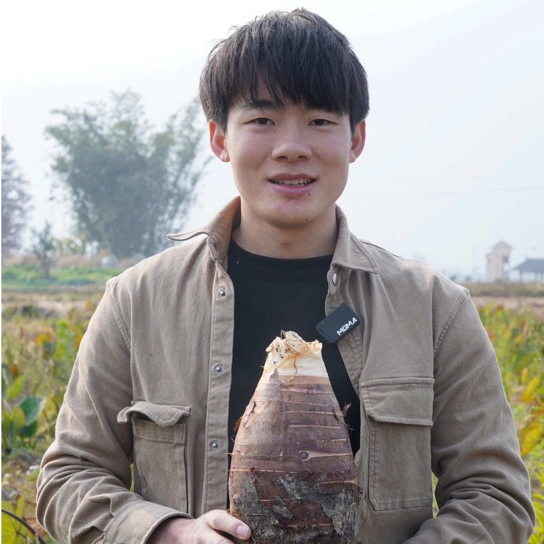 粤北北乡芋头粉糯京东发货