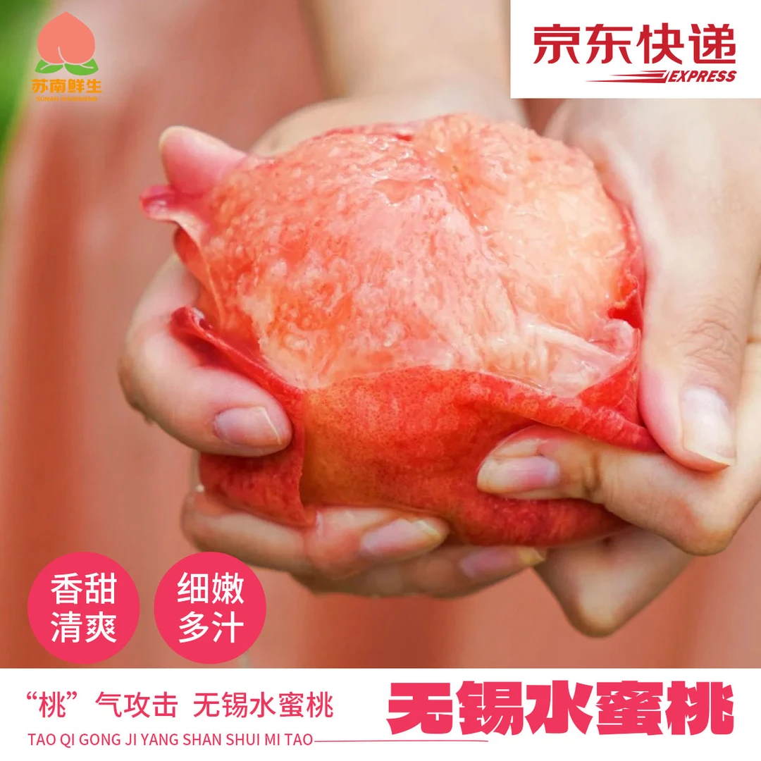 【白凤大桃】白凤湖景正宗无锡阳山水蜜桃8颗单果4两左右现采现摘新鲜水果应季低热量水果送礼礼盒装江苏省