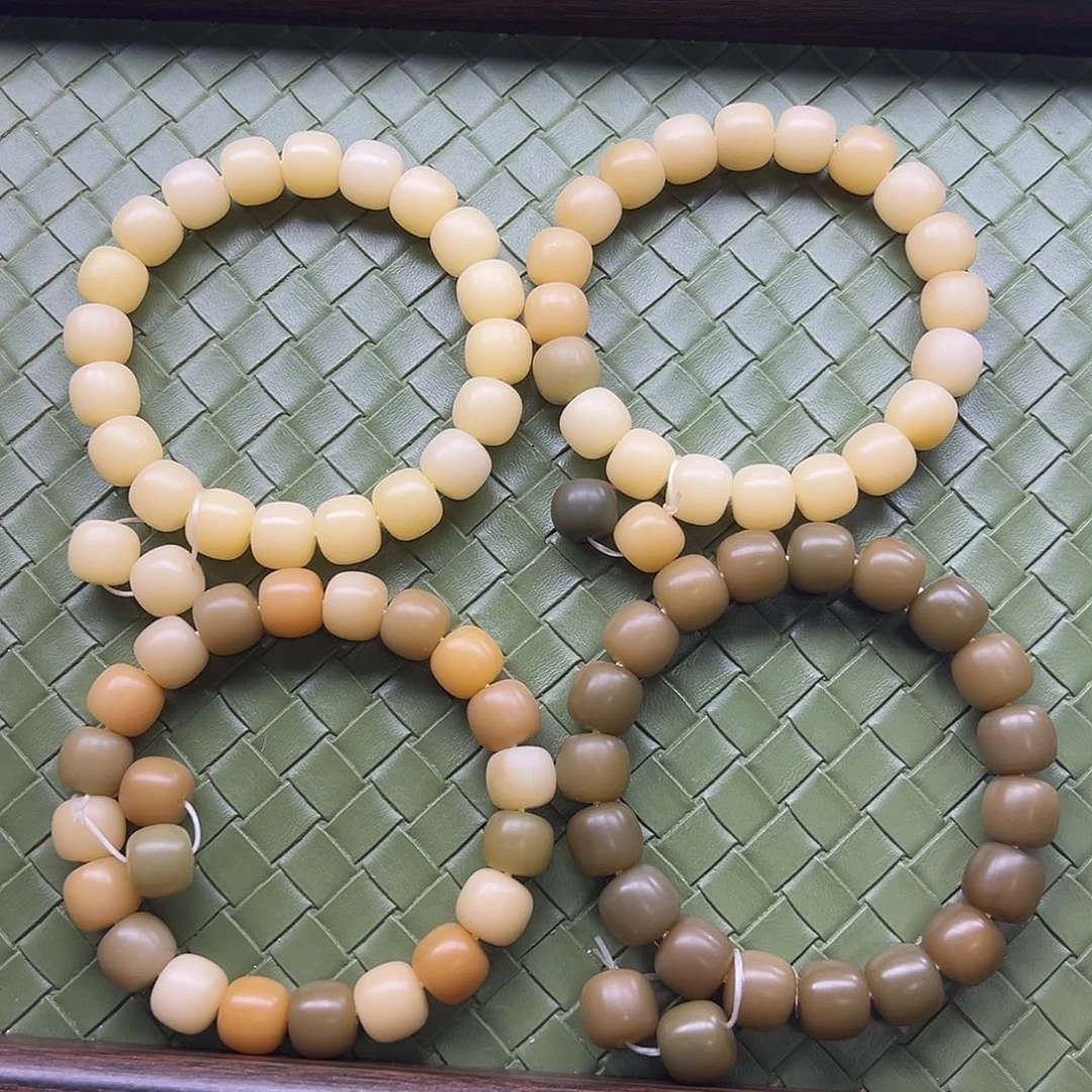 菩提根/象牙果手串4选一干磨加备用珠