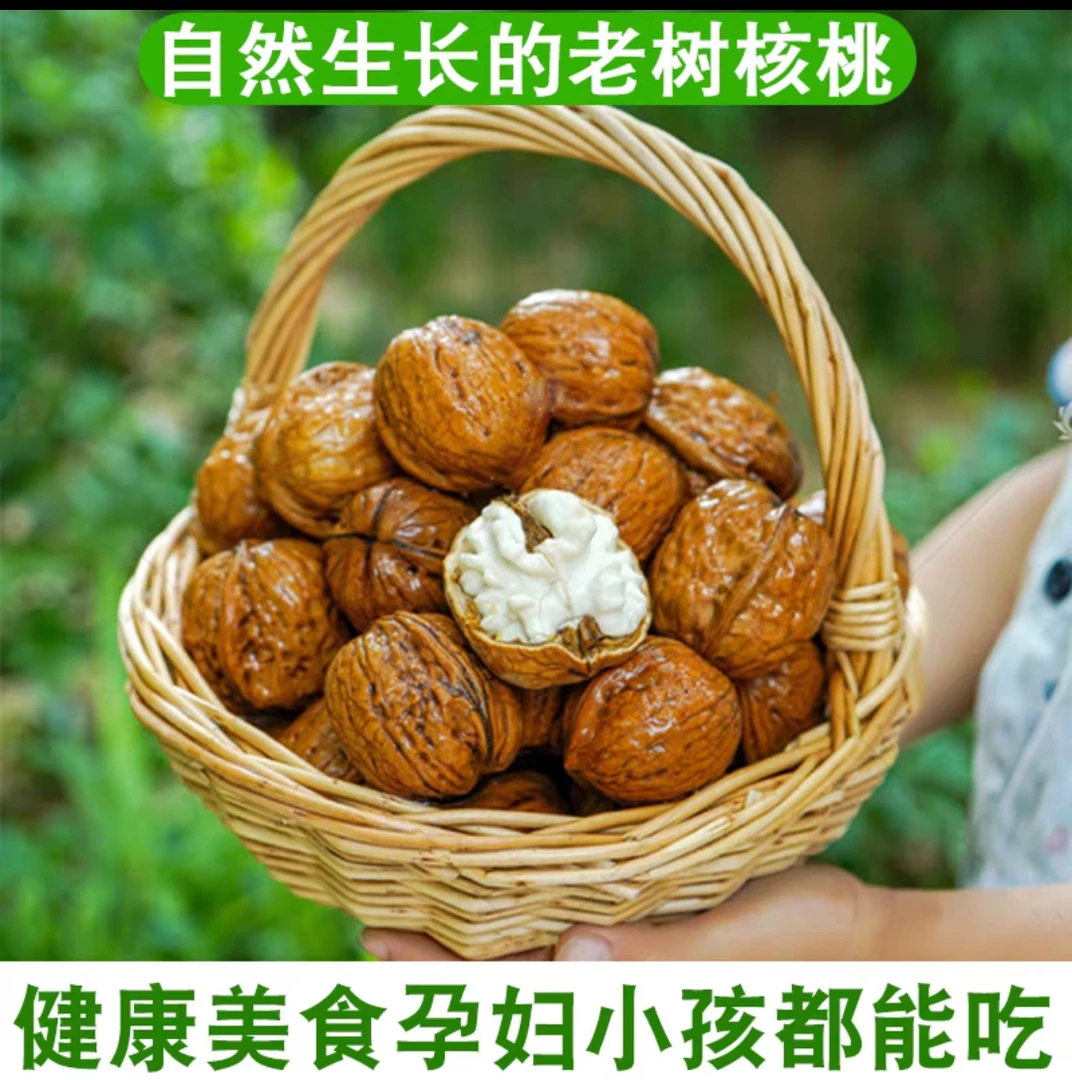 四川大凉山老树新鲜湿核桃孕妇零食现摘现发