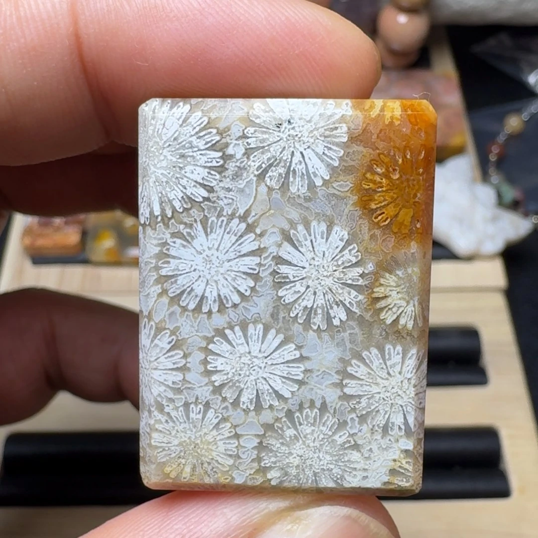 硅化玉未镶嵌纯天然色有机玉石保真色