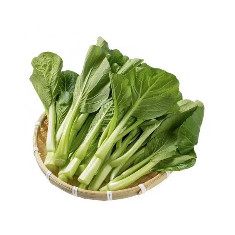 上海金山农产品广东菜心
