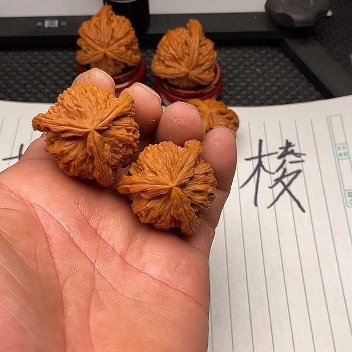 手串/手链核桃白狮子1