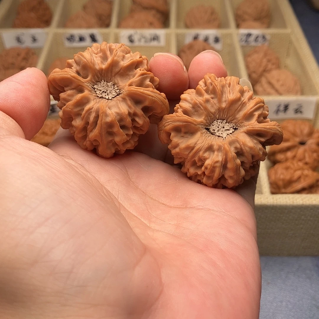 把件文玩核桃龙门涧狮子头44（头货精品