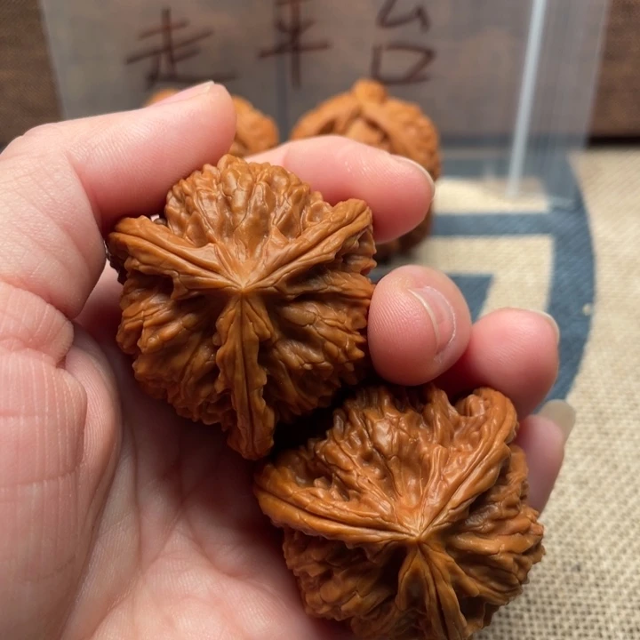 固***生核桃白狮子38核桃