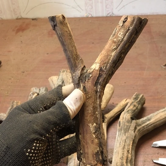 大果紫檀（缅甸花梨）項*