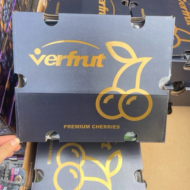 「海浪」智利空运桑提娜车厘子（5斤）2J/3J/4J（新鲜当季）-内附果径卡