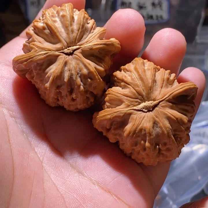 丶***灬文玩核桃吊坠42全品白狮子