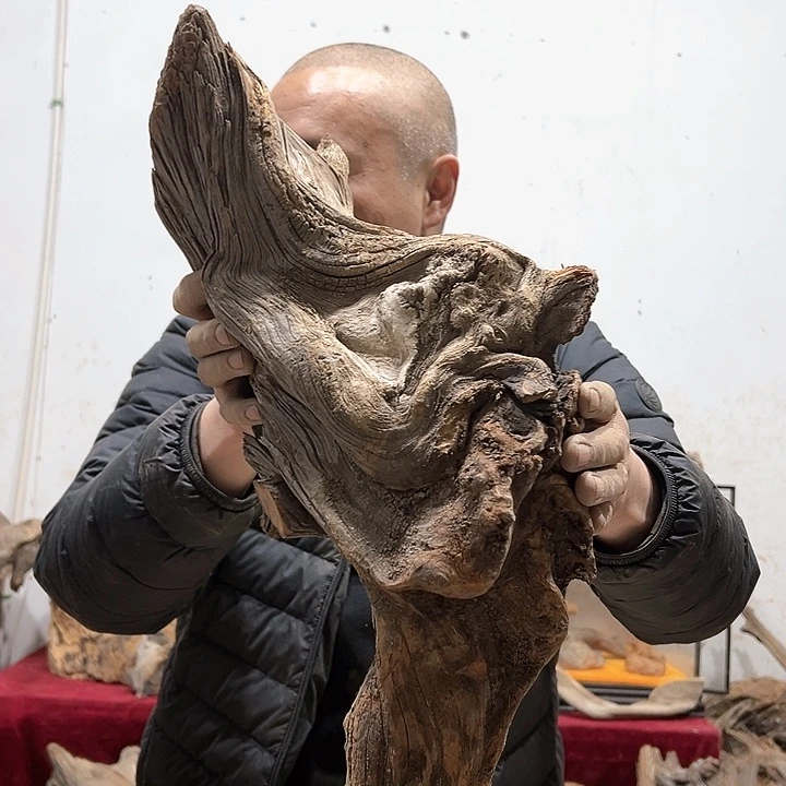 柏木孤*零我们的生活也会越来越