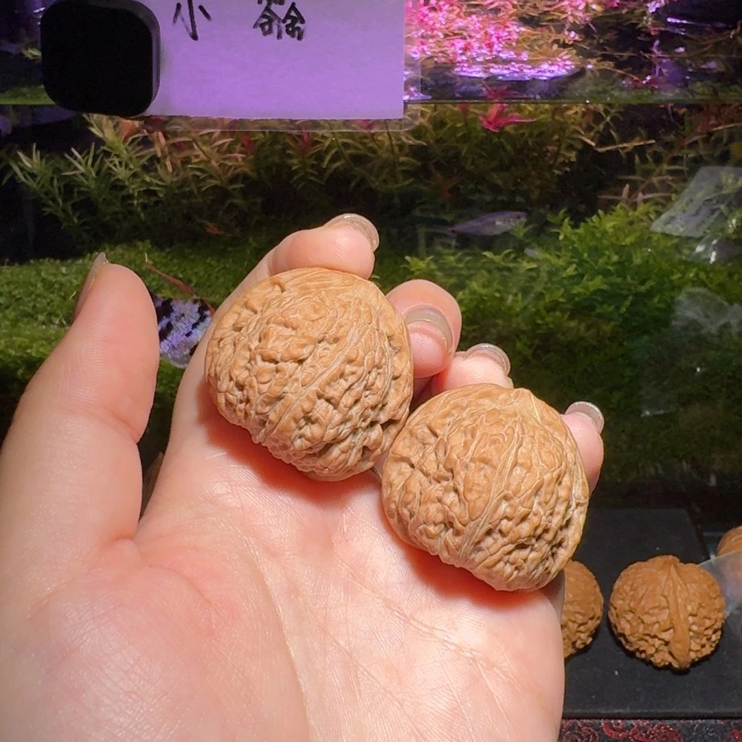 515号35平底锅文玩核桃
