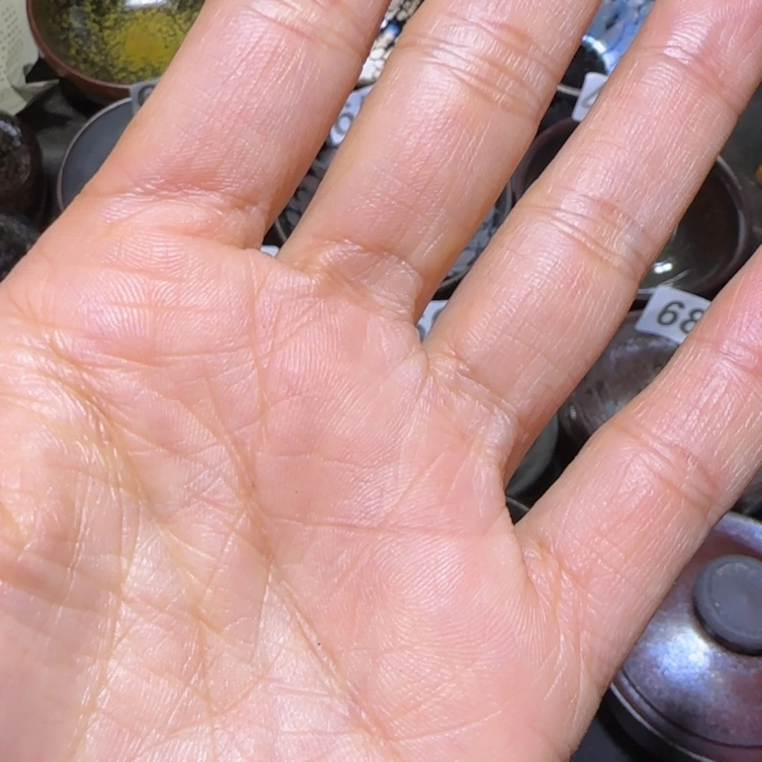 向***走茶盏福建盏茶器着