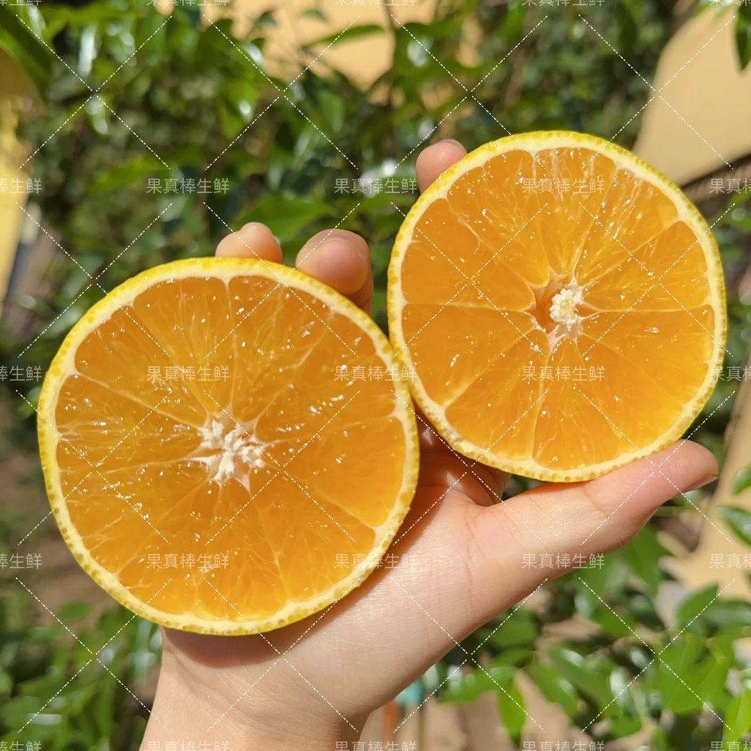 【小乐优选】四川 爱媛果冻橙  一箱4.5斤新鲜食用 汁水足可口爆汁
