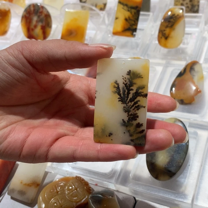 石英质玉（黄龙玉）未镶嵌颈饰