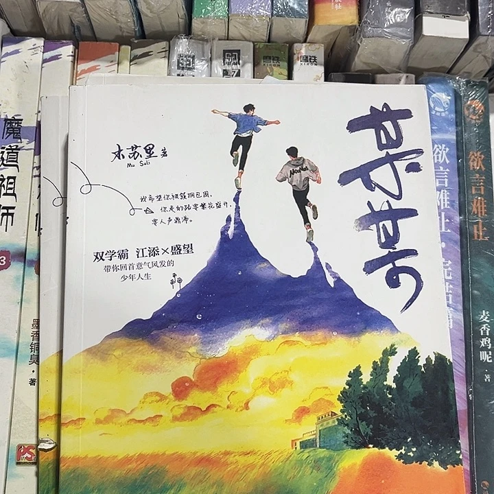 某某全新全套三本带周边未删减