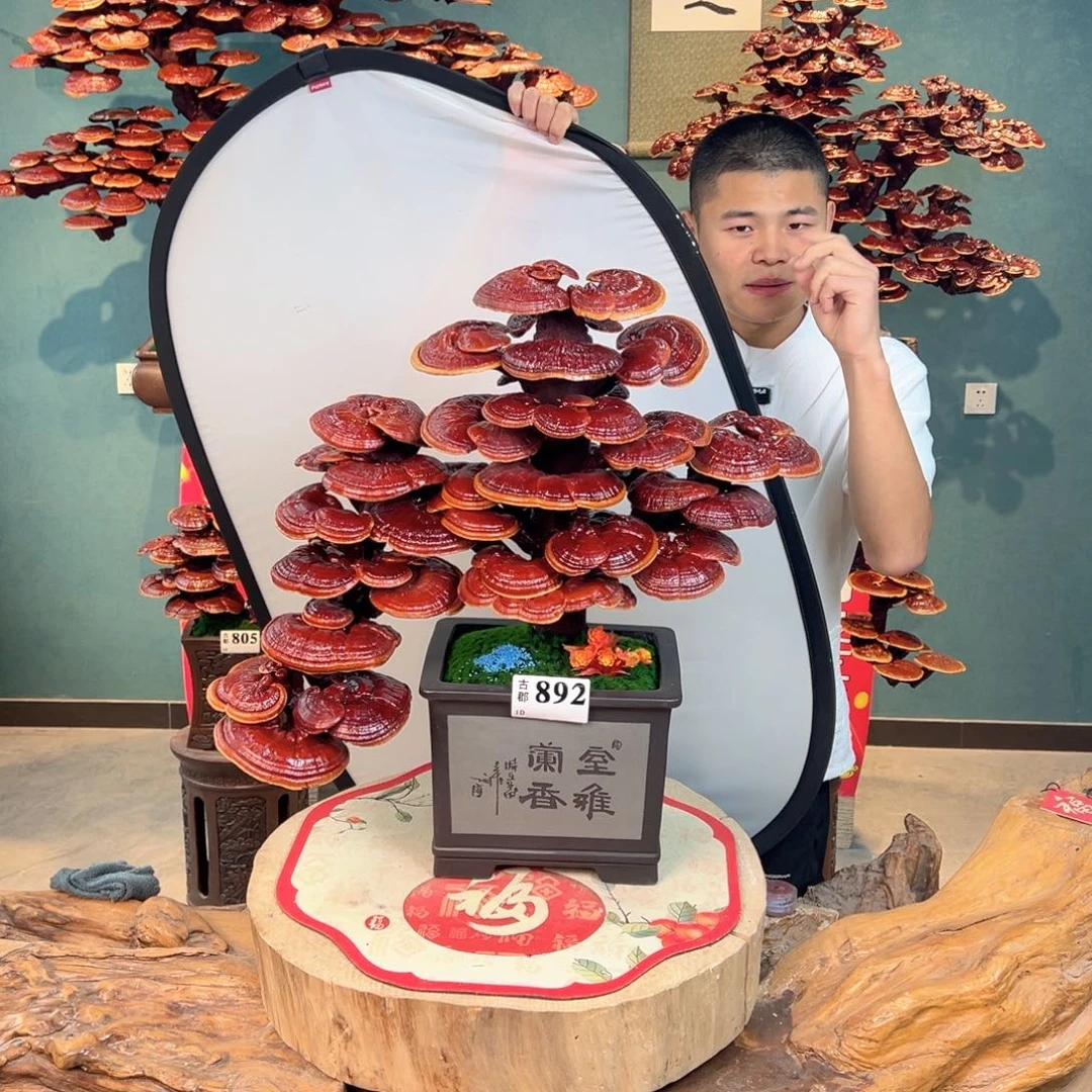 无花朵8888888888888