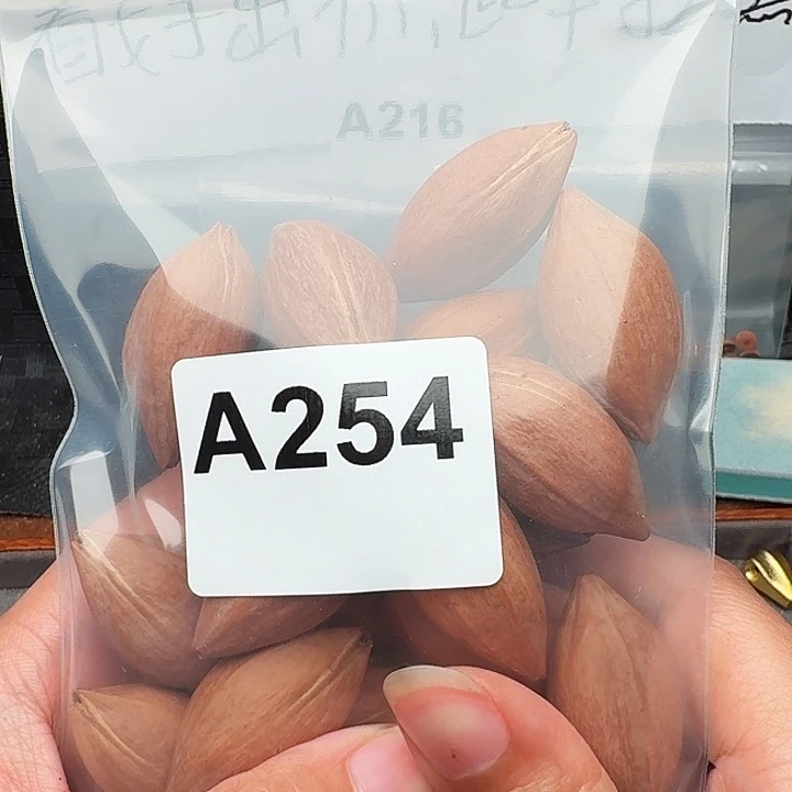 新***哥橄榄核手串/手链橄榄