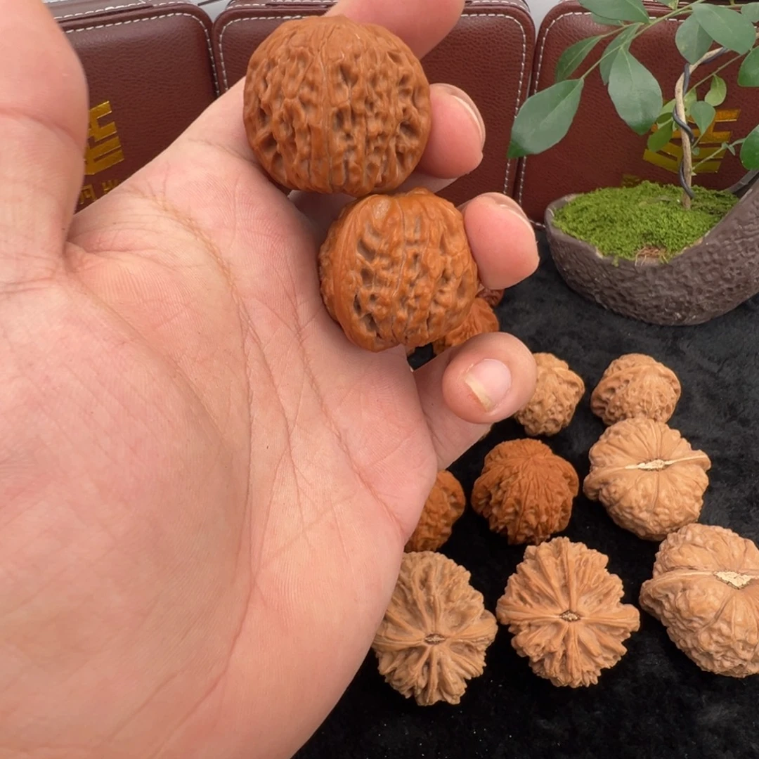 ****g核桃磨盘精对红皮血磨盘