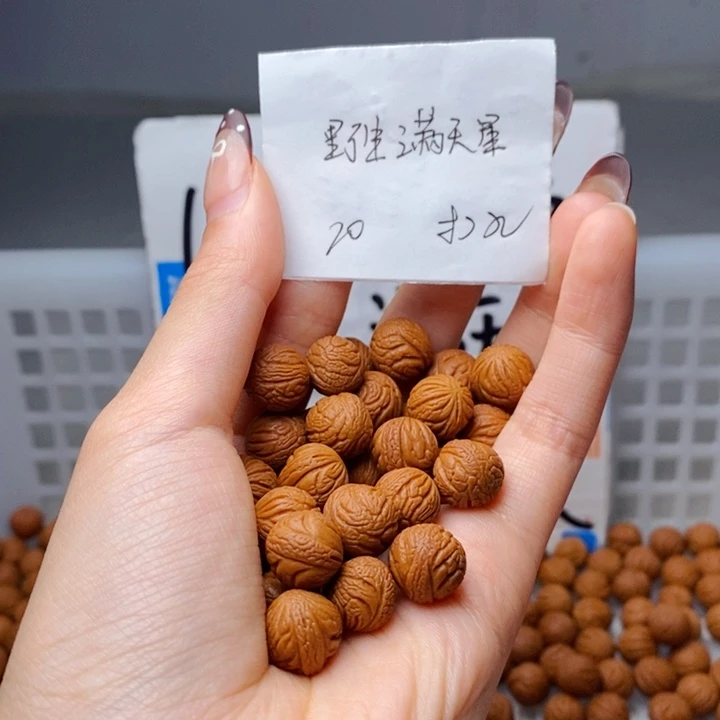 手串桃核11mm左右野生满天星20颗（打孔）