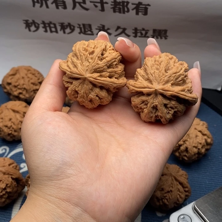 *****核桃粗筋全品48。3