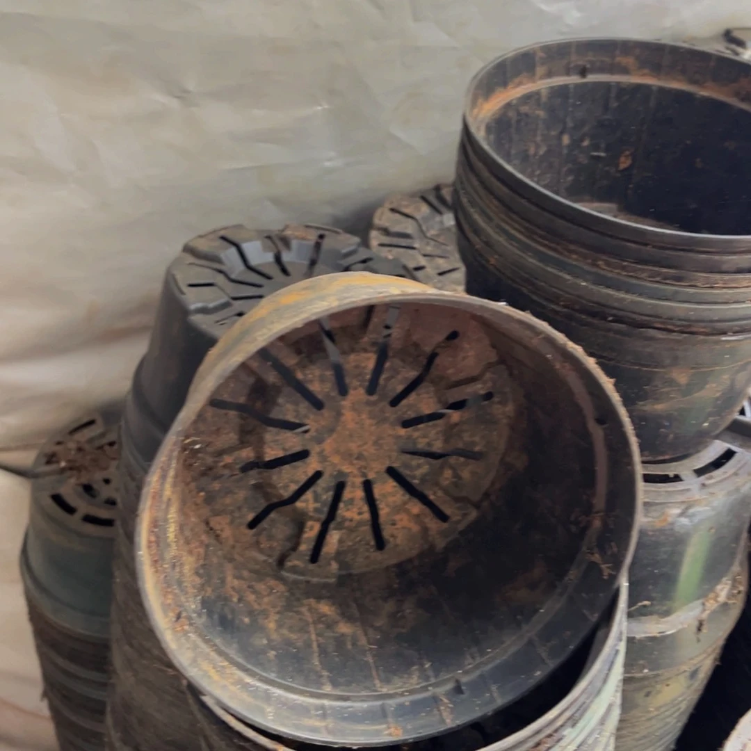 旧口径17黑圆盆20个