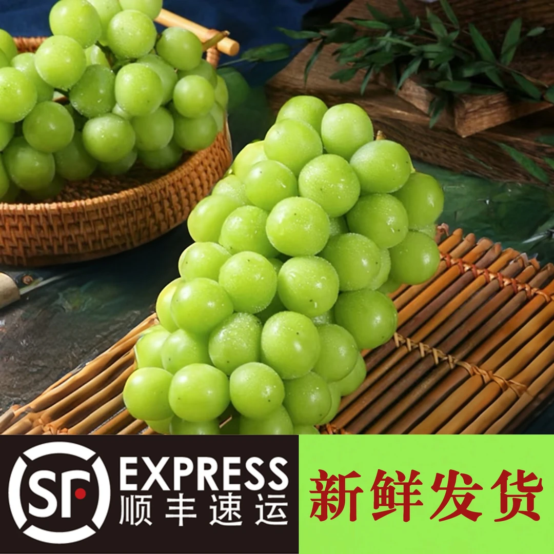 【次日达】【顺丰包邮上门】阳光玫瑰葡萄新鲜采摘坏果烂果包赔缺重包赔5-15克云南省