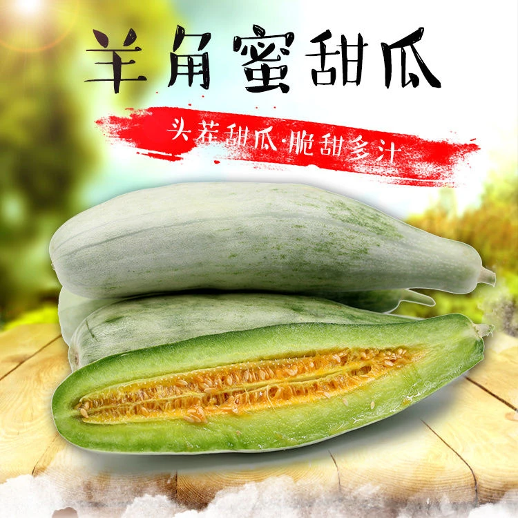羊角蜜山东特产山东自种现摘羊角甜瓜新鲜香瓜脆瓜香甜羊角蜜甜瓜