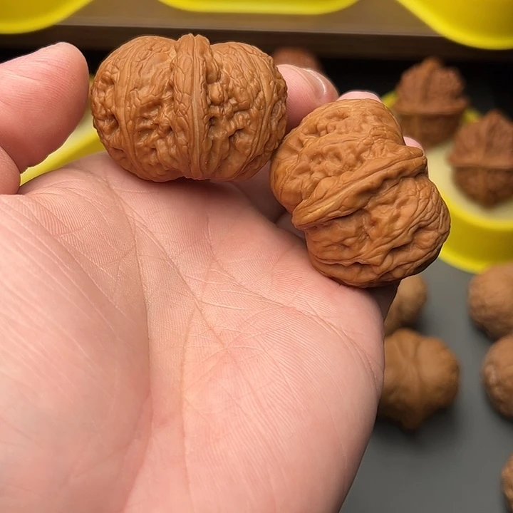 44尺精配头货红皮元宝