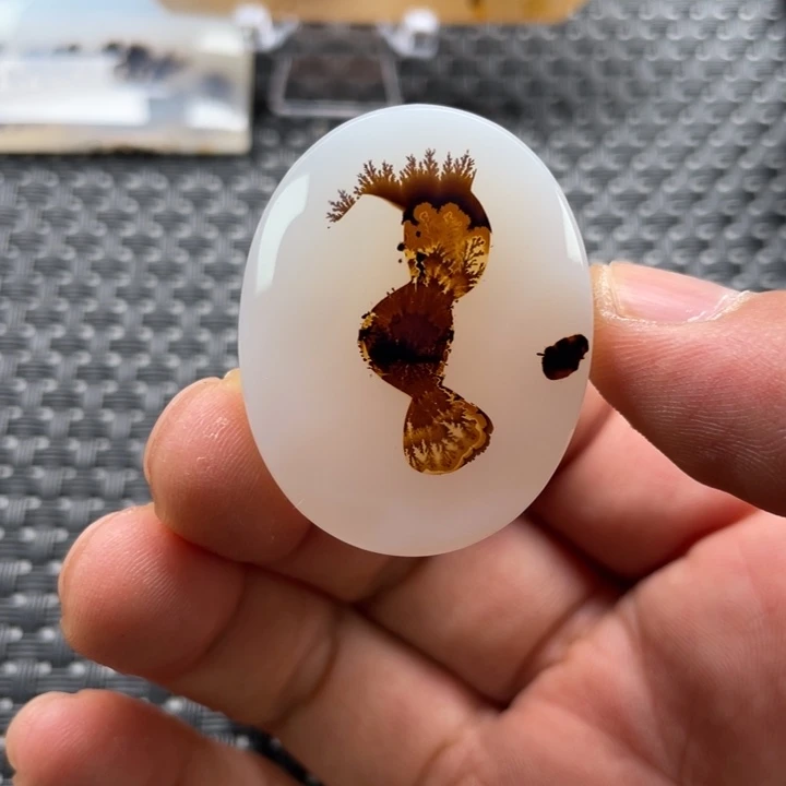 水***社玛瑙/玉髓未镶嵌颈饰