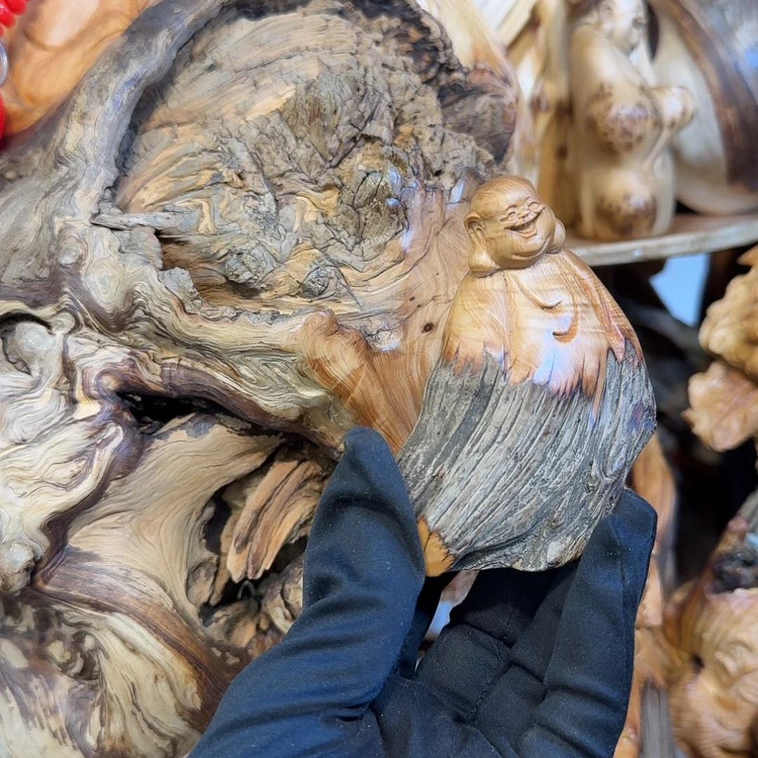 柏木（崖柏）666666666