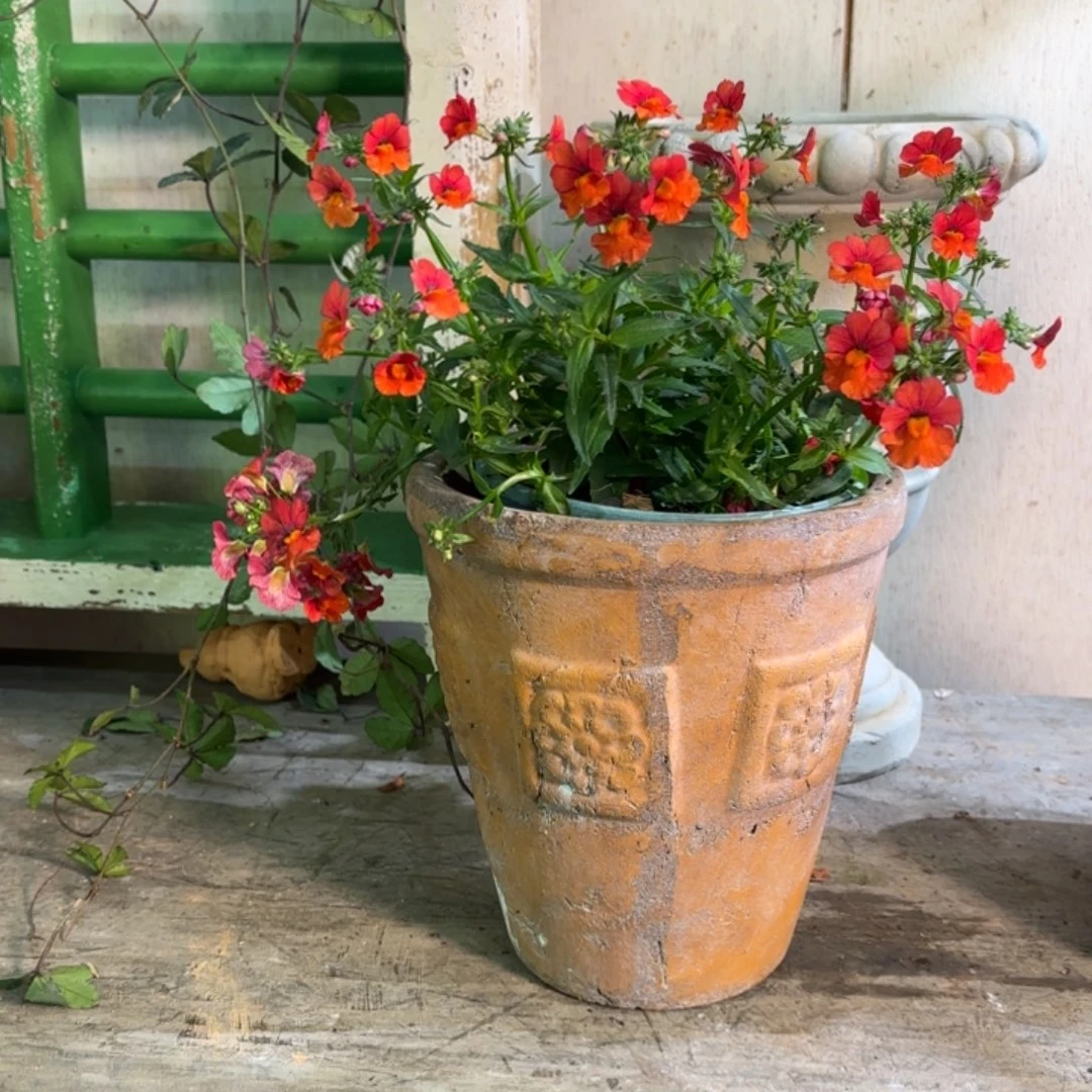 许纯的花房 复古四方花